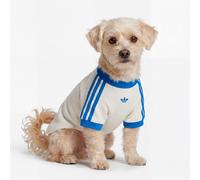 Adidas Originals Pet Cali Dog T-shirt Beige 2XL