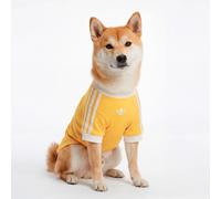 PET CALI TEE