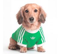 PET CALI TEE