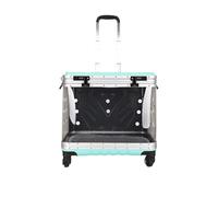Pet Carrier on Wheels Pet Trolley Case Transparent Pet Bag Outdoor Portable Pet Travelling Case Trolley Luggage Pet Carrier(C)