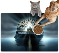 Pet Cat Dog Food Mat for Water Bowl Placemat for Sloppy Drinkers a Man&apos s Head a Lighthouse The Middle it and a Light Coming Out The top Absorbent Rubber Back Feeding Mat for Floor Indoor 24x36in