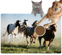Pet Cat Dog Food Mat for Water Bowl Placemat for Sloppy Drinkers Beautiful Landscape Wild West Wild Horses Galloping Absorbent Rubber Back Feeding Mat for Floor Indoor 24x36in