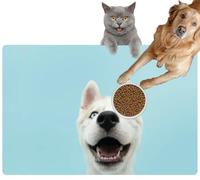 Pet Cat Dog Food Mat for Water Bowl Placemat for Sloppy Drinkers Close up Husky Puppy Dog Colored Eyes and Happy Expression Absorbent Rubber Back Feeding Mat for Floor Indoor 20x31in