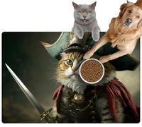 Pet Cat Dog Food Mat for Water Bowl Placemat for Sloppy Drinkers Cute Pirate cat a hat Called Tricorn tricorne 3D Character and a Absorbent Rubber Back Feeding Mat for Floor Indoor 20x31in