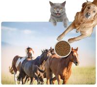Pet Cat Dog Food Mat for Water Bowl Placemat for Sloppy Drinkers Galloping Wild Horses Absorbent Rubber Back Feeding Mat for Floor Indoor 20x31in