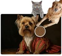 Pet Cat Dog Food Mat for Water Bowl Placemat for Sloppy Drinkers Generative Painting a Yorkshire Terrier Renaissance Clothing Absorbent Rubber Back Feeding Mat for Floor Indoor 20x31in