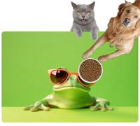 Pet Cat Dog Food Mat for Water Bowl Placemat for Sloppy Drinkers Green Frog Wearing Sunglasses Cute Froggie Shades Minimal Lime Absorbent Rubber Back Feeding Mat for Floor Indoor 24x36in