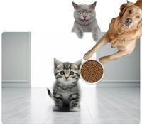 Pet Cat Dog Food Mat for Water Bowl Placemat for Sloppy Drinkers Little Grey Kitten Confused an Empty White Generative Absorbent Rubber Back Feeding Mat for Floor Indoor 20x31in