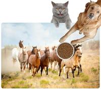 Pet Cat Dog Food Mat for Water Bowl Placemat for Sloppy Drinkers Majestic Herd Wild Horses Running The Desert Freedom Bound Away from Absorbent Rubber Back Feeding Mat for Floor Indoor 20x31in