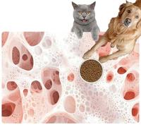 Pet Cat Dog Food Mat for Water Bowl Placemat for Sloppy Drinkers Microscopic Neural Network Mycelium Network Brain Cellular Structures Absorbent Rubber Back Feeding Mat for Floor Indoor 24x36in