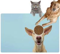 Pet Cat Dog Food Mat for Water Bowl Placemat for Sloppy Drinkers Portrait a Happy Smiling Podenco Puppy Dog Blue Colored Absorbent Rubber Back Feeding Mat for Floor Indoor 20x31in