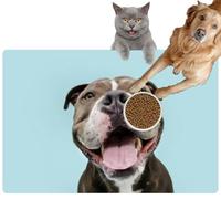 Pet Cat Dog Food Mat for Water Bowl Placemat for Sloppy Drinkers Portrait Happy Smiling American Bully Dog Blue Absorbent Rubber Back Feeding Mat for Floor Indoor 24x36in