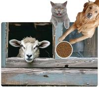 Pet Cat Dog Food Mat for Water Bowl Placemat for Sloppy Drinkers Sheep Looking Through an Old Window Farm Nature Themed Designs Absorbent Rubber Back Feeding Mat for Floor Indoor 24x36in