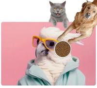 Pet Cat Dog Food Mat for Water Bowl Placemat for Sloppy Drinkers White Bird Parrot Cockatoo Wearing Glasses and Blue Hoodie Clothes a Absorbent Rubber Back Feeding Mat for Floor Indoor 20x31in