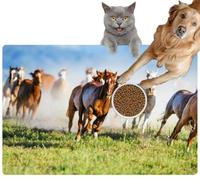 Pet Cat Dog Food Mat for Water Bowl Placemat for Sloppy Drinkers Wild Horses Galloping Utah Absorbent Rubber Back Feeding Mat for Floor Indoor 24x36in