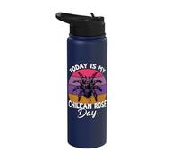 Pet Chilean Rose Tarantula Day Tarantula Stainless Steel Insulated Water Bottle