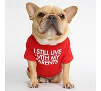 Pet Clothes Pug Round Neck T Shirt Comfortable Cute Teddy Small Dog Cat Apparel (Red, M)