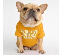 Pet Clothes Pug Round Neck T Shirt Comfortable Cute Teddy Small Dog Cat Apparel (Yellow, M)