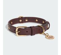 PET COLLAR
