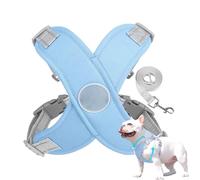 Pet Control Harness - Heavy Duty Adjustable Canine Support, Night Walking Equipment | Outdoor Exercise Training
