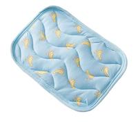 Pet Cooling Mat with Minimal Effort, Reliable Heat Relief