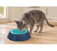 Pet Cooling Water Bowl for Dogs & Cats | Freeze for 2 Hours to Keep Water Cool for Up to 5 Hours | Non-Slip Cooling Pet Bowl | Reusable Gel Ice Water Dish for Indoor & Outdoor Pets, Teal