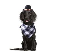 Pet Cowboy Hat and Bandana Scarf - Costume Accessories Dog Cat Pet Size West Cowboy Accessories for Puppy Kitten Party Festival and Daily Wearing (Style 4)