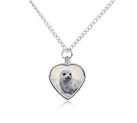 Pet Cremation Jewelry - Postal Stationery Heart Shaped Urn Necklace for Dog/Cat Ashes, Memorial Keepsake Pendant with Funnel & Gift Jewelry, One Size, Zinc, No Gemstone