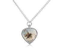 Pet Cremation Jewelry - Star - Swimming Dolphin Heart Shaped Urn Necklace for Dog/Cat Ashes, Memorial Keepsake Pendant with Funnel & Gift Jewelry, One Size, Zinc, No Gemstone