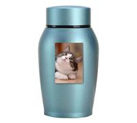 Pet Cremation Urns Stainless Steel Lightweight Rust Resistant Memorial