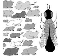 Pet Crow - A Simple Guide To Small And Medium Pond Life [VINYL]