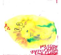 Pet Crow - Scrape Yourself Off The Floor [7" VINYL]