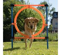 Pet Dog Agility Training Jumping Ring Hoop Hurdle Outdoor Fun K9 Pursuits Orange One Size