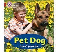 PET DOG: Band 02A/Red A (Collins Big Cat Phonics)
