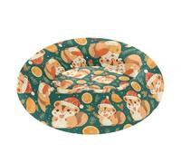 Pet Dog Beds Warm & Cozy Fluffy Cat Pillow Bed for Medium Size Pets Sleeping M Cartoon Chipmunks with Xmas Hat Berry