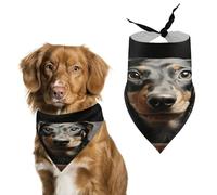 Pet Dog Birthday Bandanas Pad Dachshund Washable Printing Bib Scarf Accessories Pet Triangle Bid Scarf Kerchief for Dogs Or Cats
