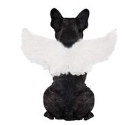 Pet Dog Cat Cosplay Angel Devil Wings - Felt Cloth Pet Halloween Christmas Feather Wings Party Ornament for Small Medium Pet Dogs Cats White M