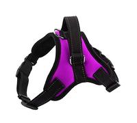 Pet Dog Harness Soft Breathable No Pull Walk Harness Vest Canvas Harness for Small Medium Puppy Pets Products(XL,Purple)