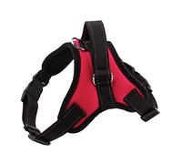 Pet Dog Harness Soft Breathable No Pull Walk Harness Vest Canvas Harness for Small Medium Puppy Pets Products(M,Rose Red)