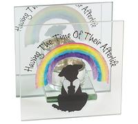 Pet Dog Loss Memorial Sympathy Gift Tealight Holder by Rainbow Bridge Friends