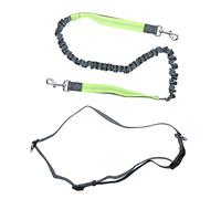 Pet Dog Nylon Traction Rope, Reflective BreakProof Outdoor Adjustable Safety Seat Belt, 2 - Handle Design for Big and Small Dogs, with Elastic Band and Retractable Buckle for Comfo (Green)