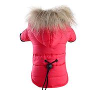 Pet Dog Warm Down Cotton-Padded jacket Costume Puppy Winter Clothe Hoodie Coats Sweaters for Small Dogs Male Chihuahua (Red, S)