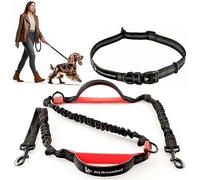 Pet Dreamland Hands Free Dog Leash for Running, Walking, Hiking, Cycling and Training. Bungee Harness, Adjustable Waist Belt, Single or Double Handle, Reflective Stitching. Small, Medium, Large Dogs