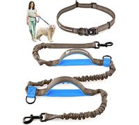 Pet Dreamland Hands Free Dog Leash for Running, Walking, Hiking, Cycling and Training. Bungee Harness, Adjustable Waist Belt, Single or Double Handle, Reflective Stitching. Small, Medium, Large Dogs