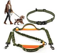 Pet Dreamland Hands Free Dog Leash for Running, Walking, Hiking, Cycling and Training. Bungee Harness, Adjustable Waist Belt, Single or Double Handle, Reflective Stitching. Small, Medium, Large Dogs