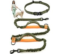 Pet Dreamland Hands Free Dog Leash for Running, Walking, Hiking, Cycling and Training. Bungee Harness, Adjustable Waist Belt, Single or Double Handle, Reflective Stitching. Small, Medium, Large Dogs