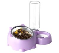 Pet Feeding Bowl - 11 Inch Cat Dish | Stainless Steel Feeder - 16° Angled Design Protects Pet's Cervical Spine Dry Separation and