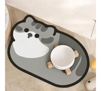 Pet Feeding Mat Absorbent Cat Bowl Mat Soft Diatomite Floor Protector (COLOR 2,40 * 60cm)