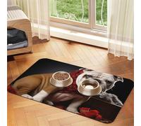 Pet Feeding Mat Absorbent Quick Dry Dog Food Mats Cute Non-Slip Rubber Pet Feeding Rug Lover Bulldog Cat Water Bowl Mats Pet Placemat for Food Water 40x60cm