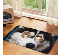 Pet Feeding Mat for Dog Bowls and Water Bowl Non Slip Pet Placemat Absorbent Cat Feeder Pad Blue Eyed Husky Pet Food Mat for Floors No Stains Dog Cat Water Bowl Mat 40x60cm